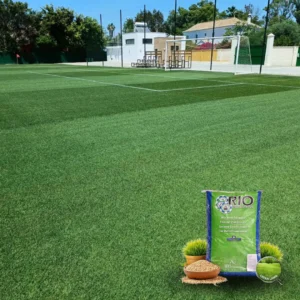 Rio BERMUDA GRASS SEEDS, PACK OF 11.34 KGS